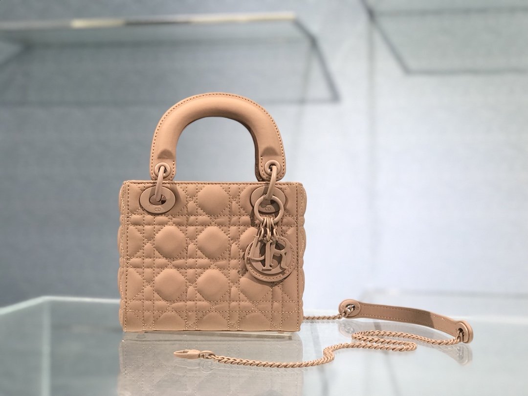 🤍🤍Lady Dior My 20cm