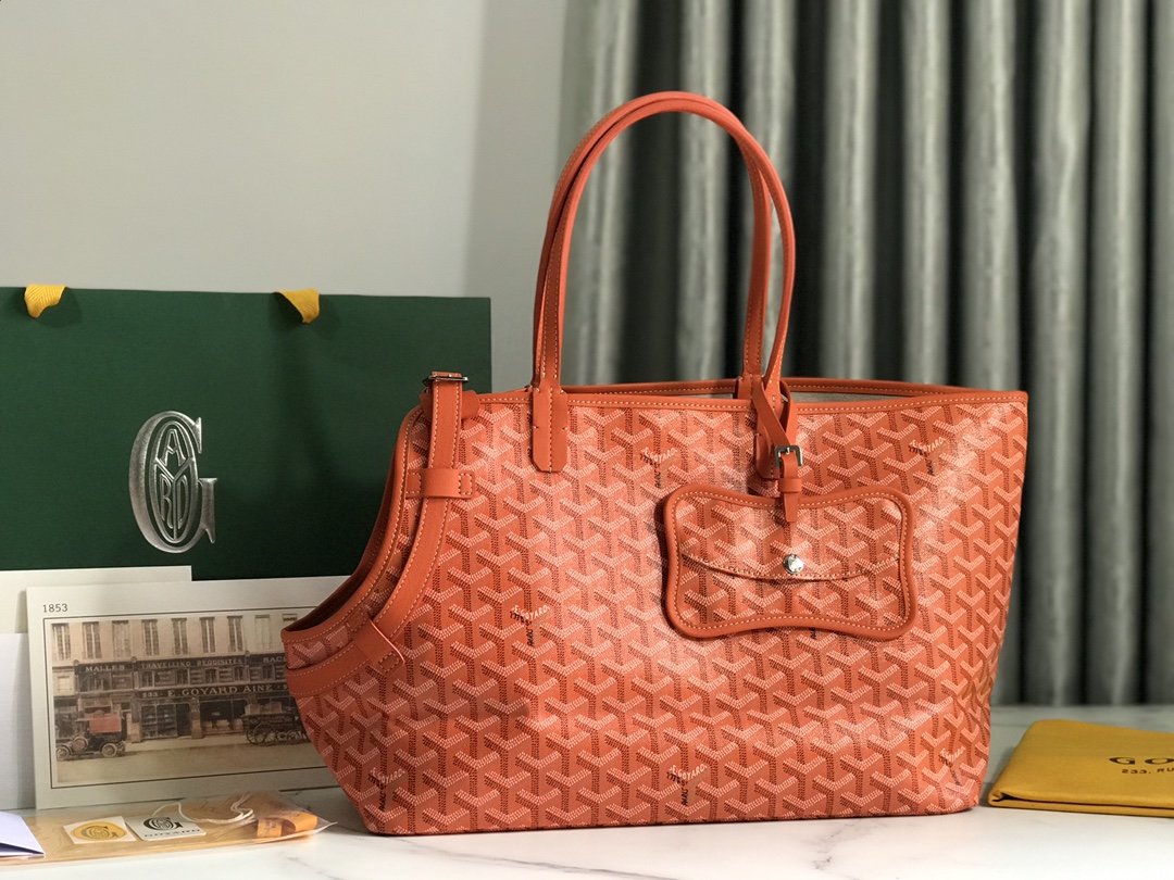 112015Chien Gris & Pocket