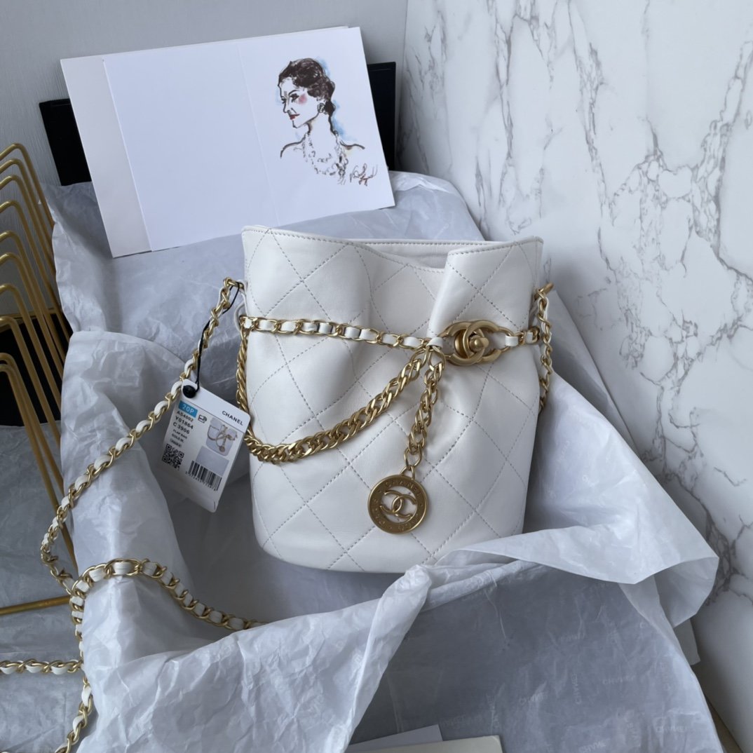 ✨New in stock✨23s gold coin chain bucket bag