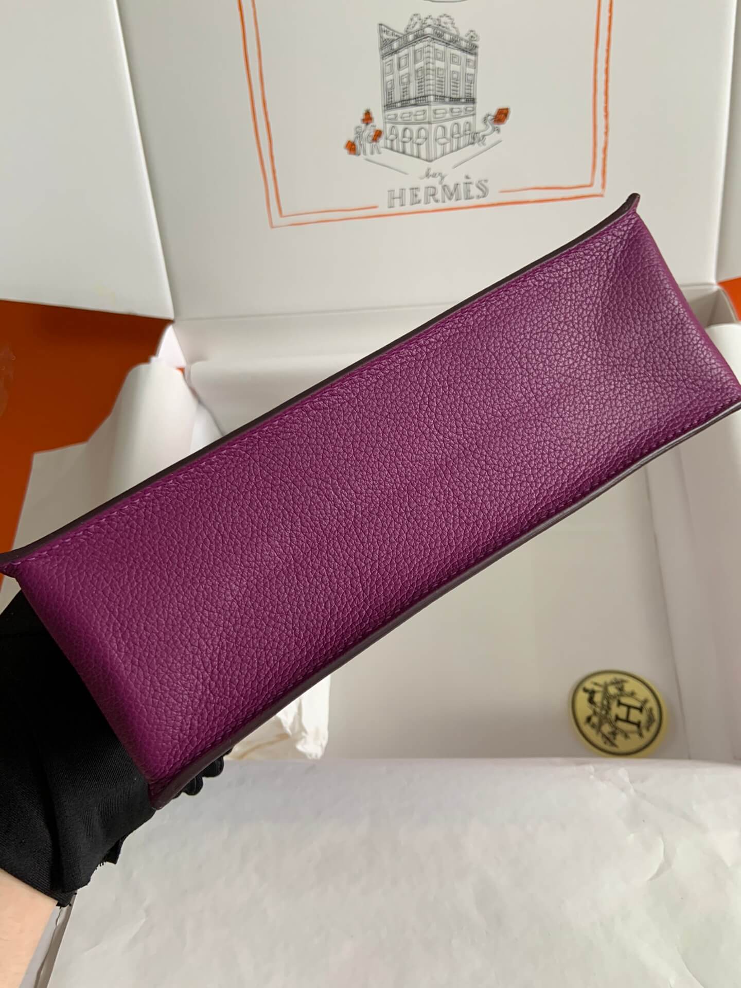 Ky danse 22cm, sea anemone purple