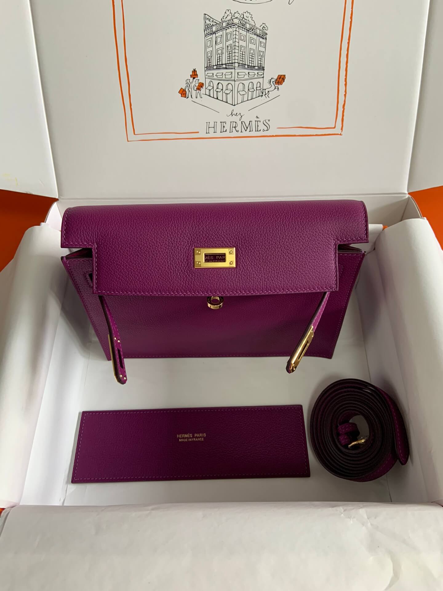 Ky danse 22cm, sea anemone purple
