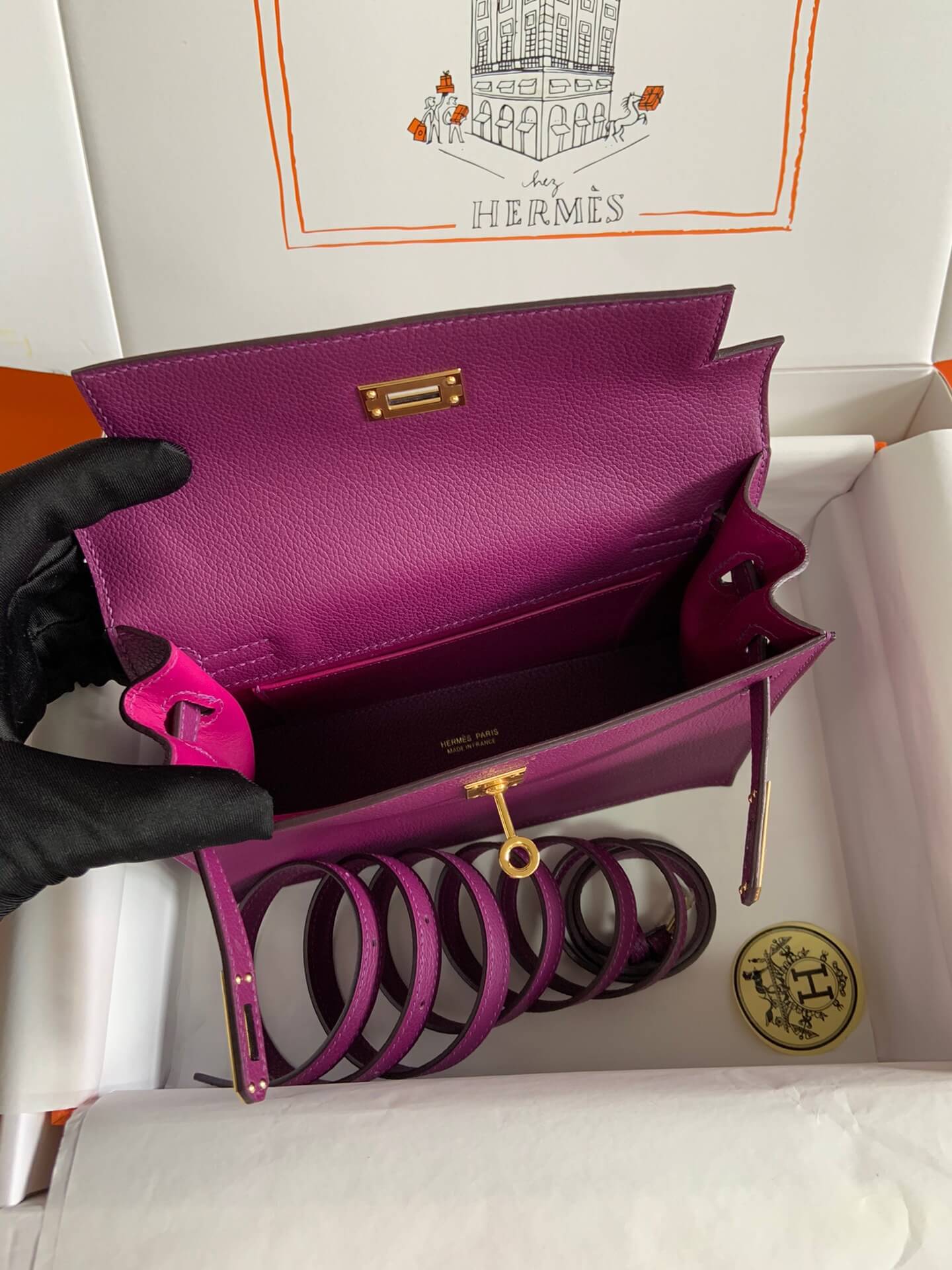 Ky danse 22cm, sea anemone purple