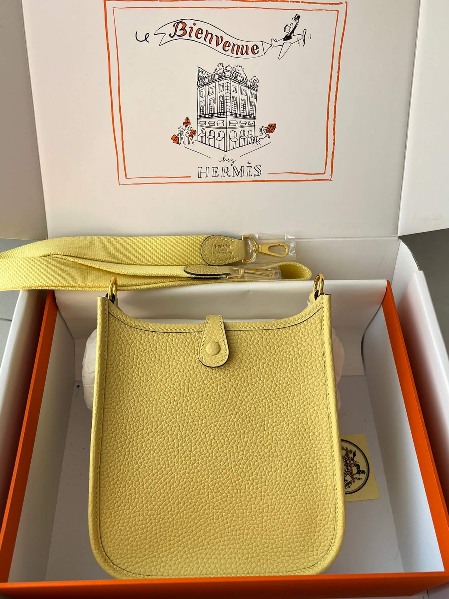 Evelyne17cm, chicken yellow