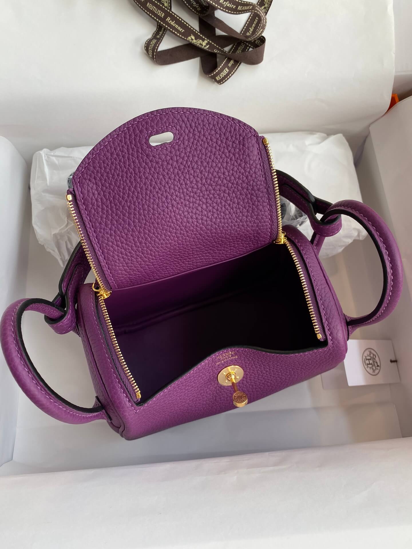 LD19cm, sea anemone purple