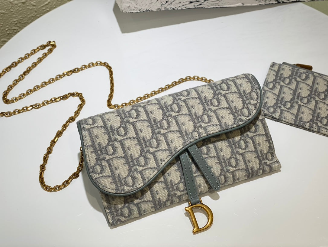 Dior saddle woc