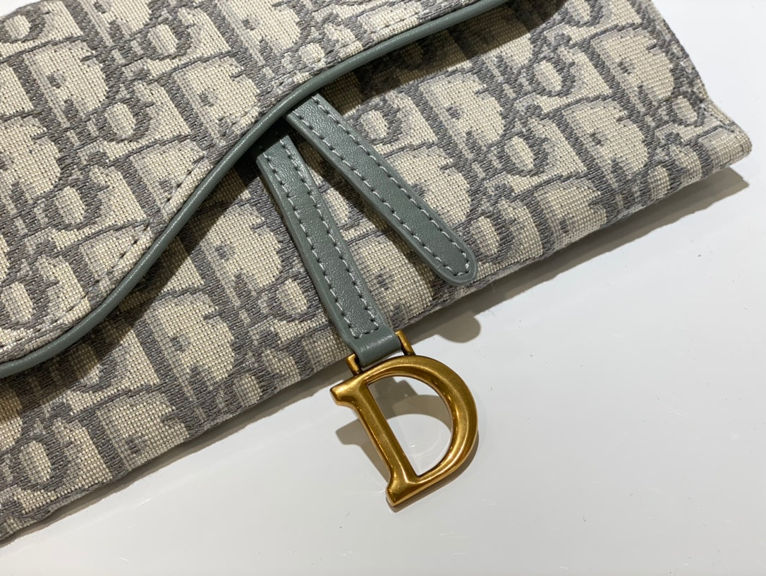 Dior saddle woc