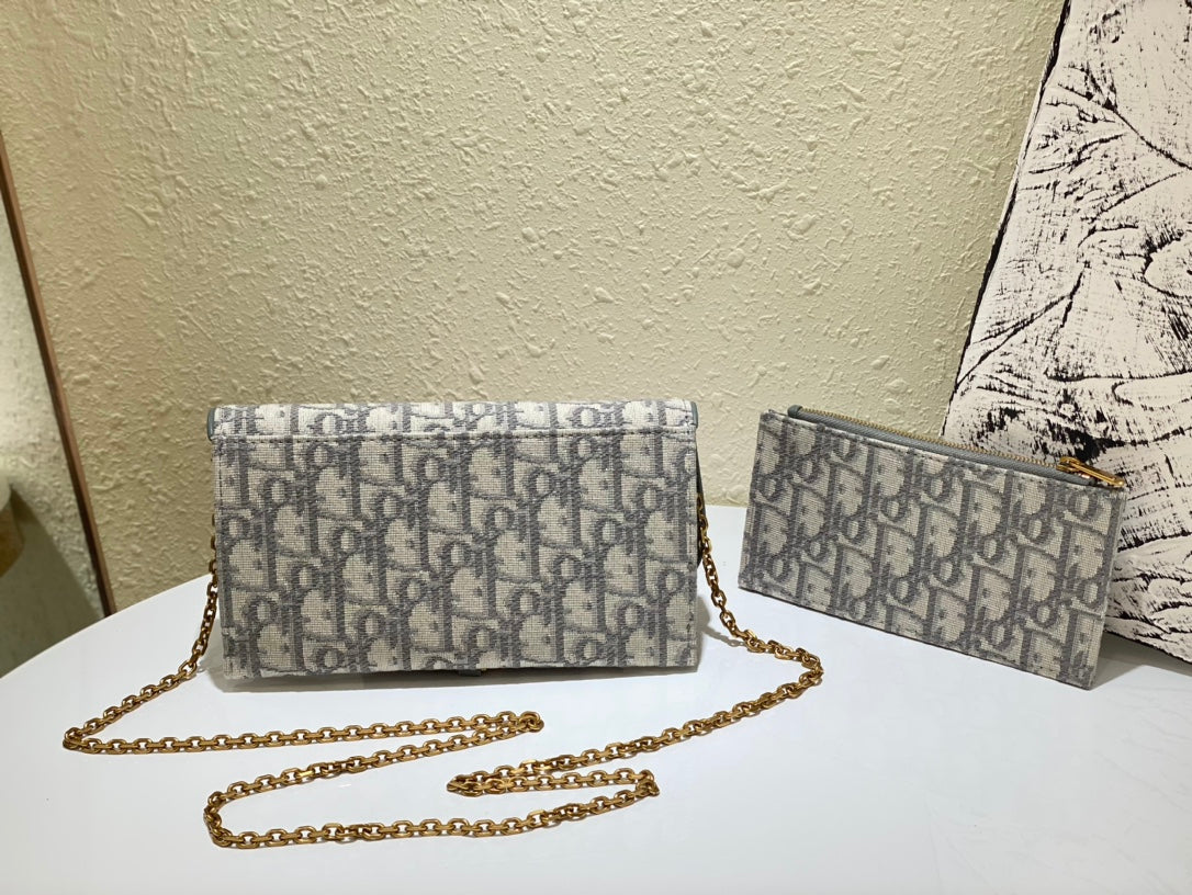 Dior saddle woc