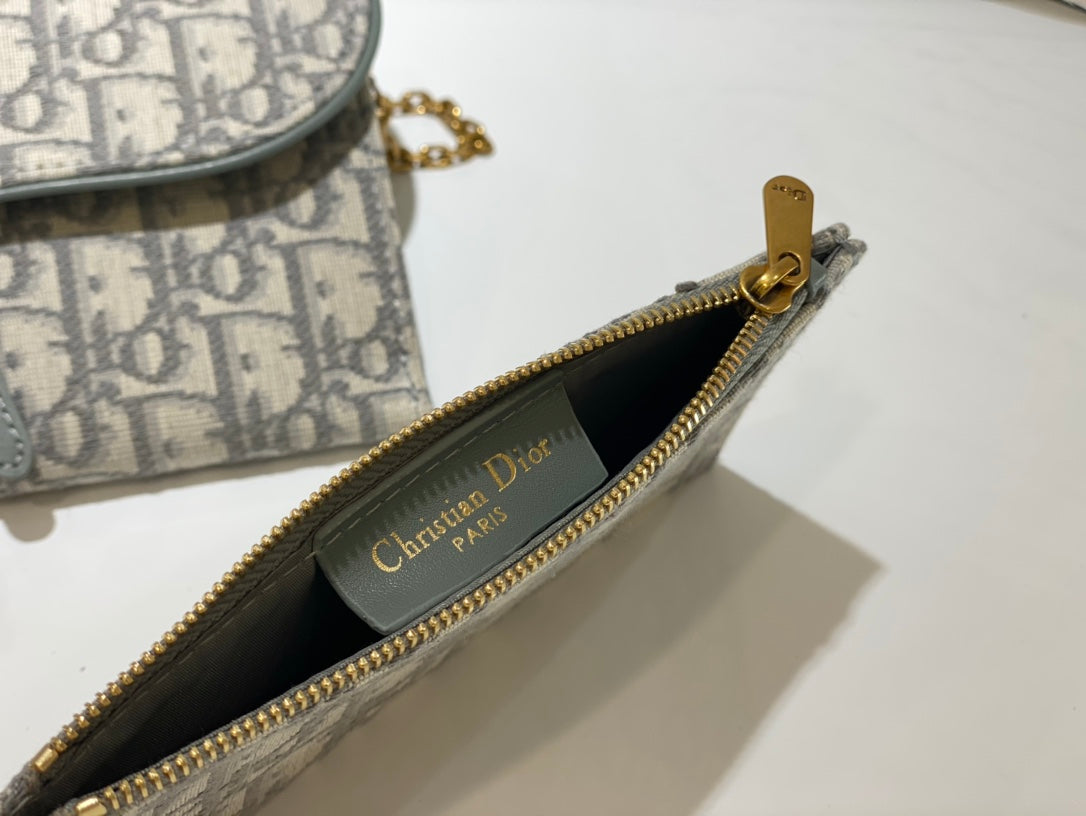 Dior saddle woc
