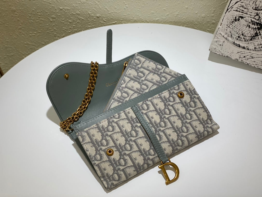 Dior saddle woc