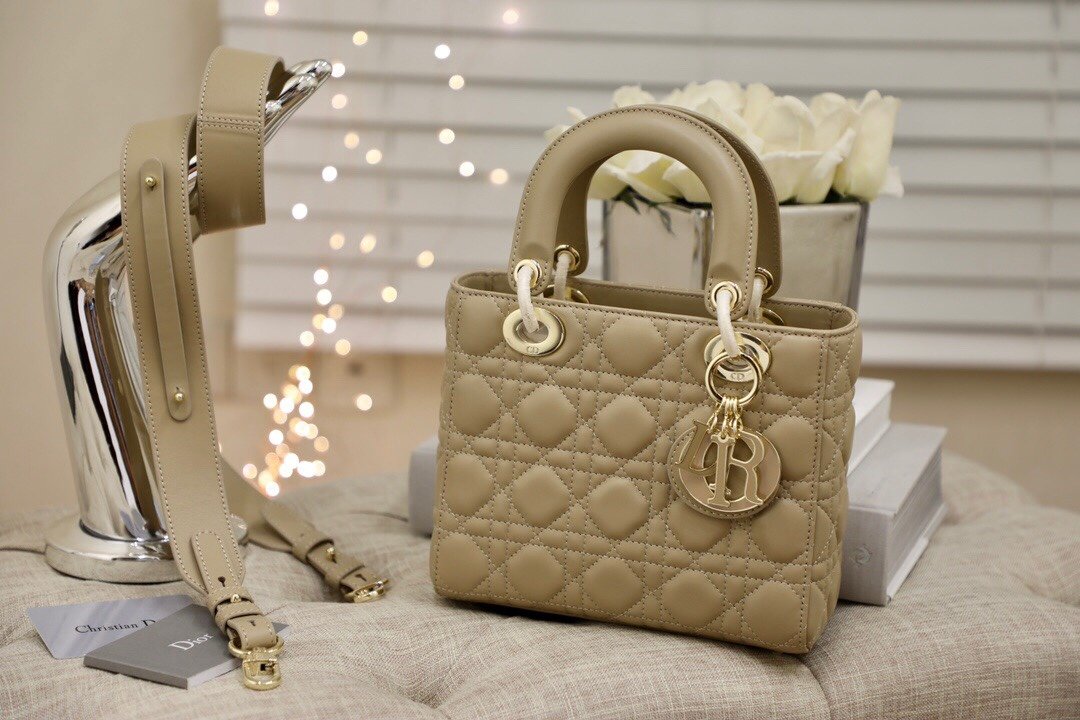 ✦ 𝗟𝗮𝗱𝘆 𝗗𝗶𝗼𝗿 𝗺𝗶𝗻𝗶 lambskin with enamel buckle
