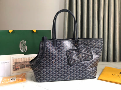 112015Chien Gris & Pocket
