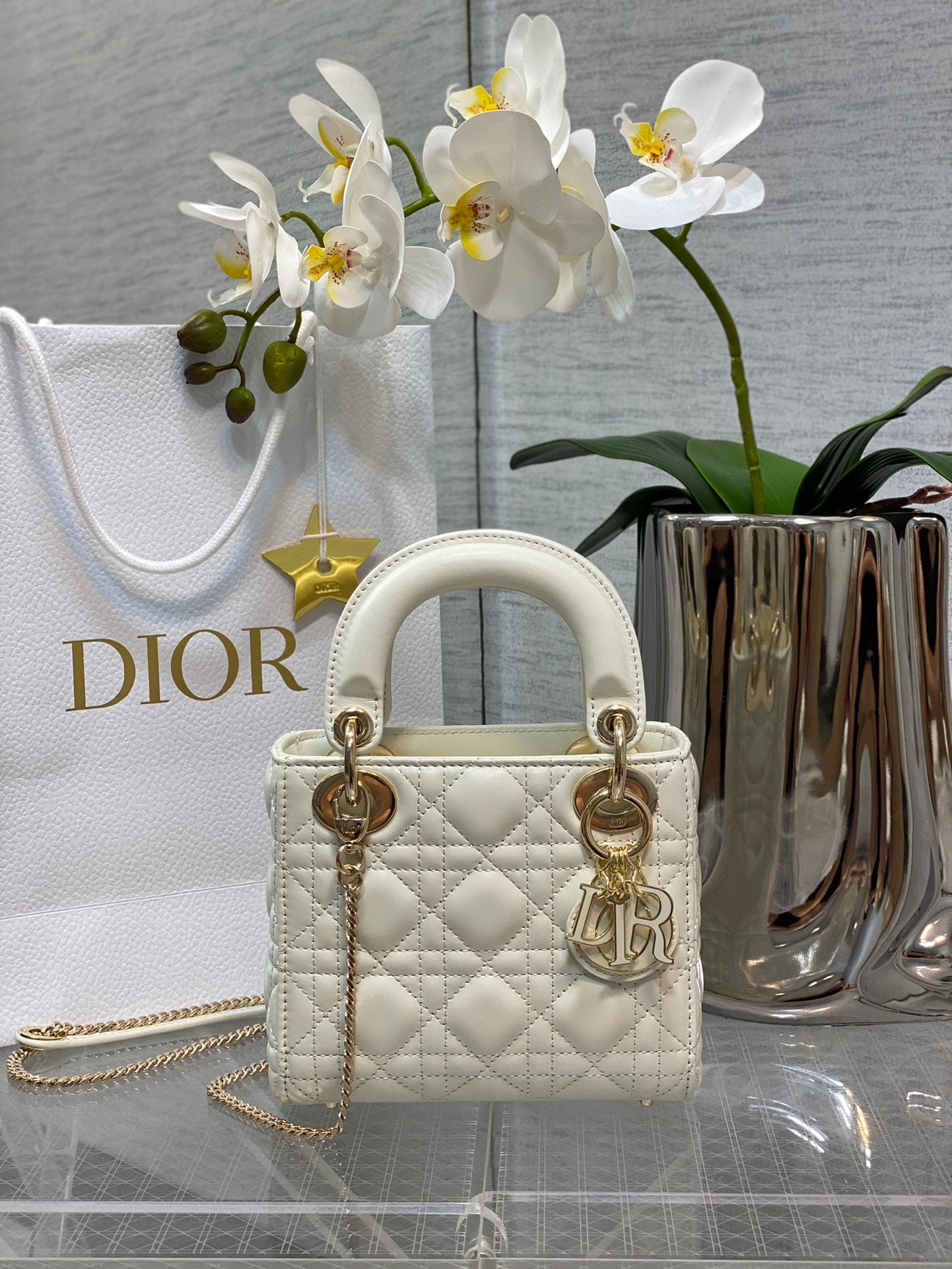 ✦ 𝗟𝗮𝗱𝘆 𝗗𝗶𝗼𝗿 𝗺𝗶𝗻𝗶 lambskin with enamel buckle