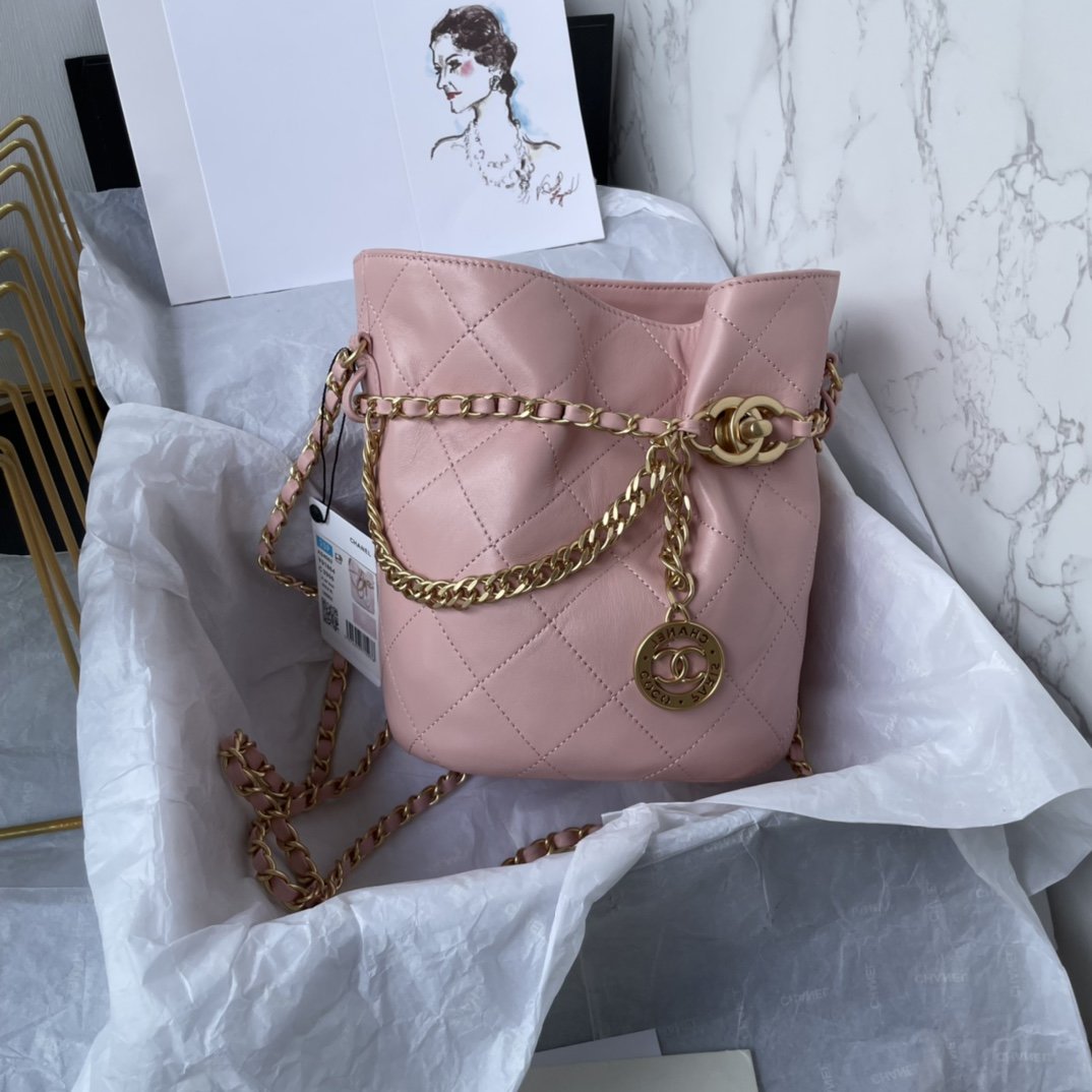 ✨New in stock✨23s gold coin chain bucket bag