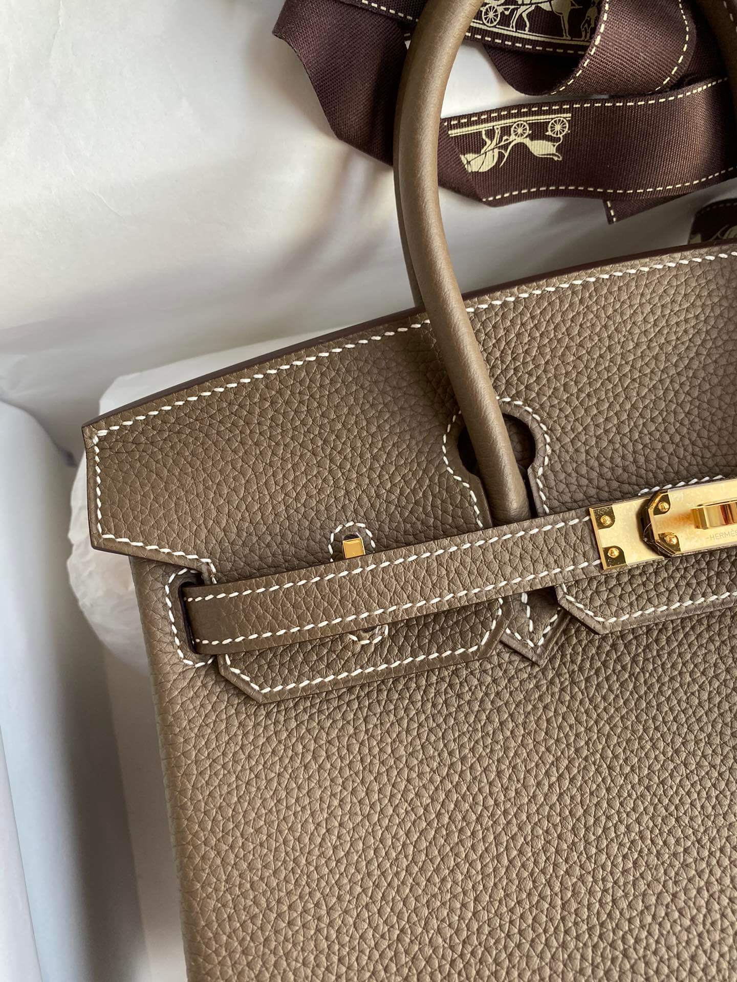 BK25cm,Elephant gray gold buckle