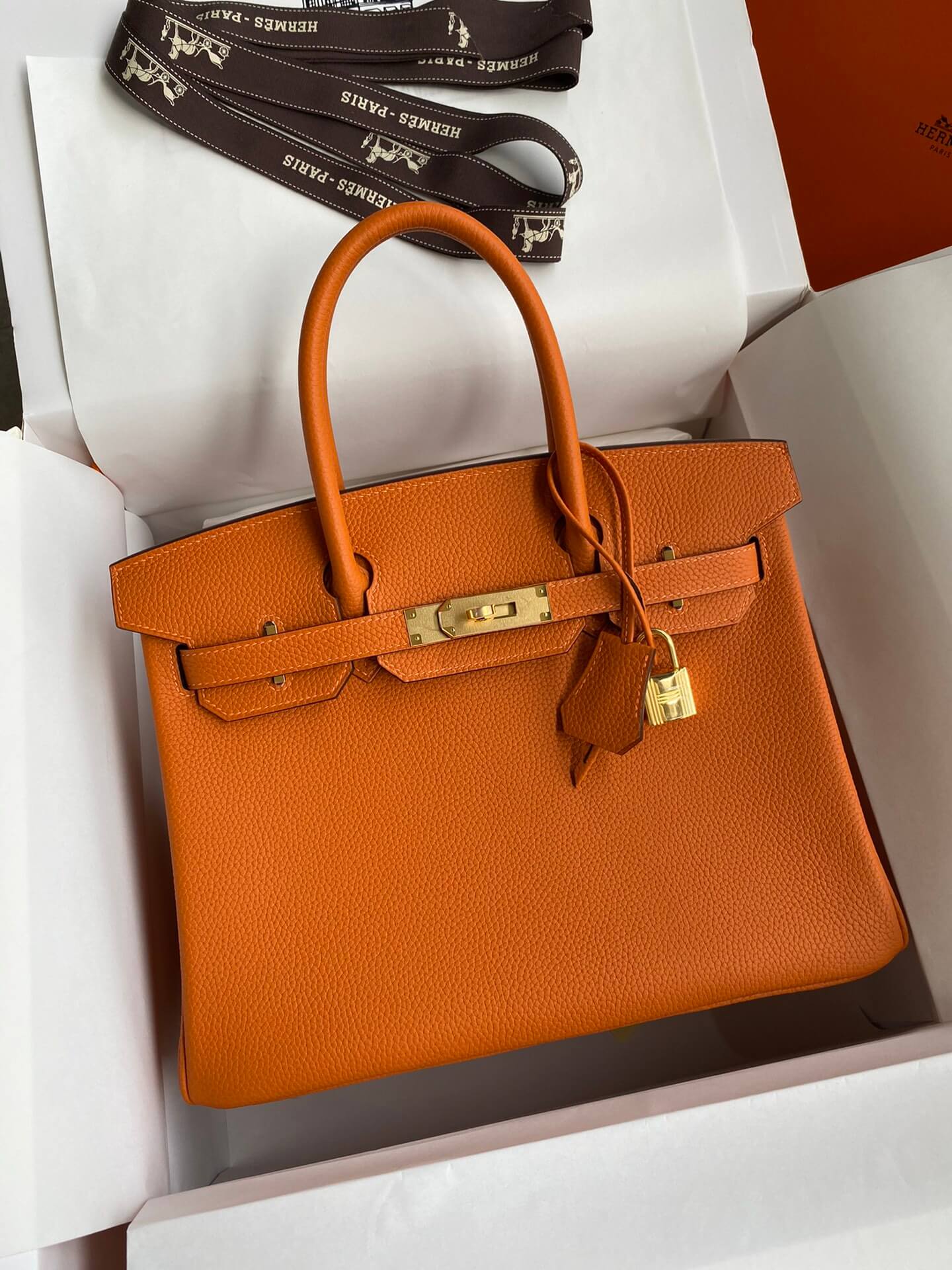 BK25cm,Classic Orange Gold Buckle