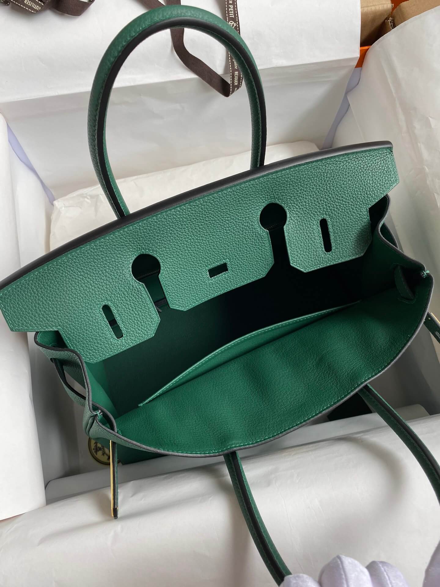 BK25cm,Peacock Green Gold Buckle