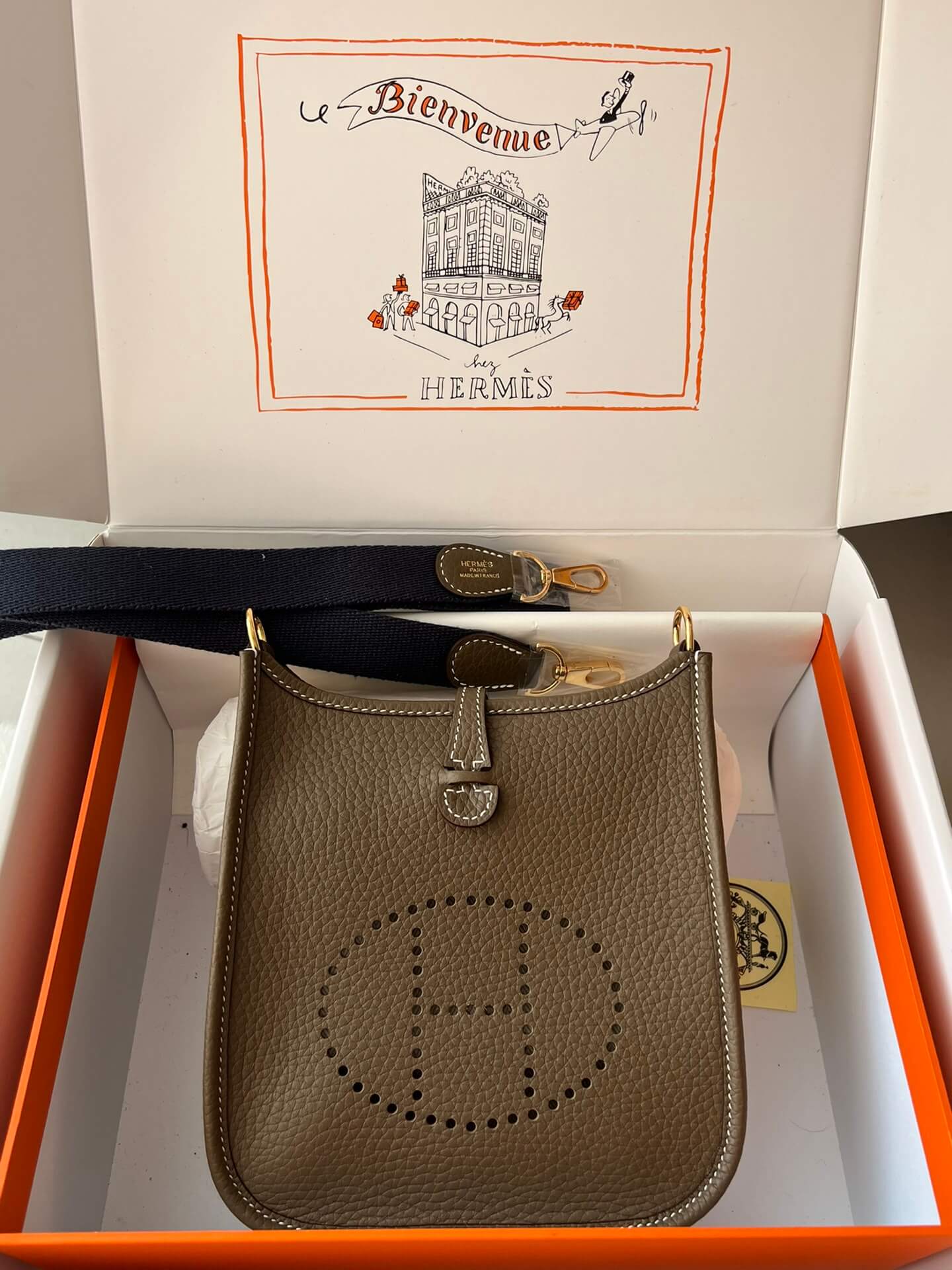 Evelyne17cm,elephant gray