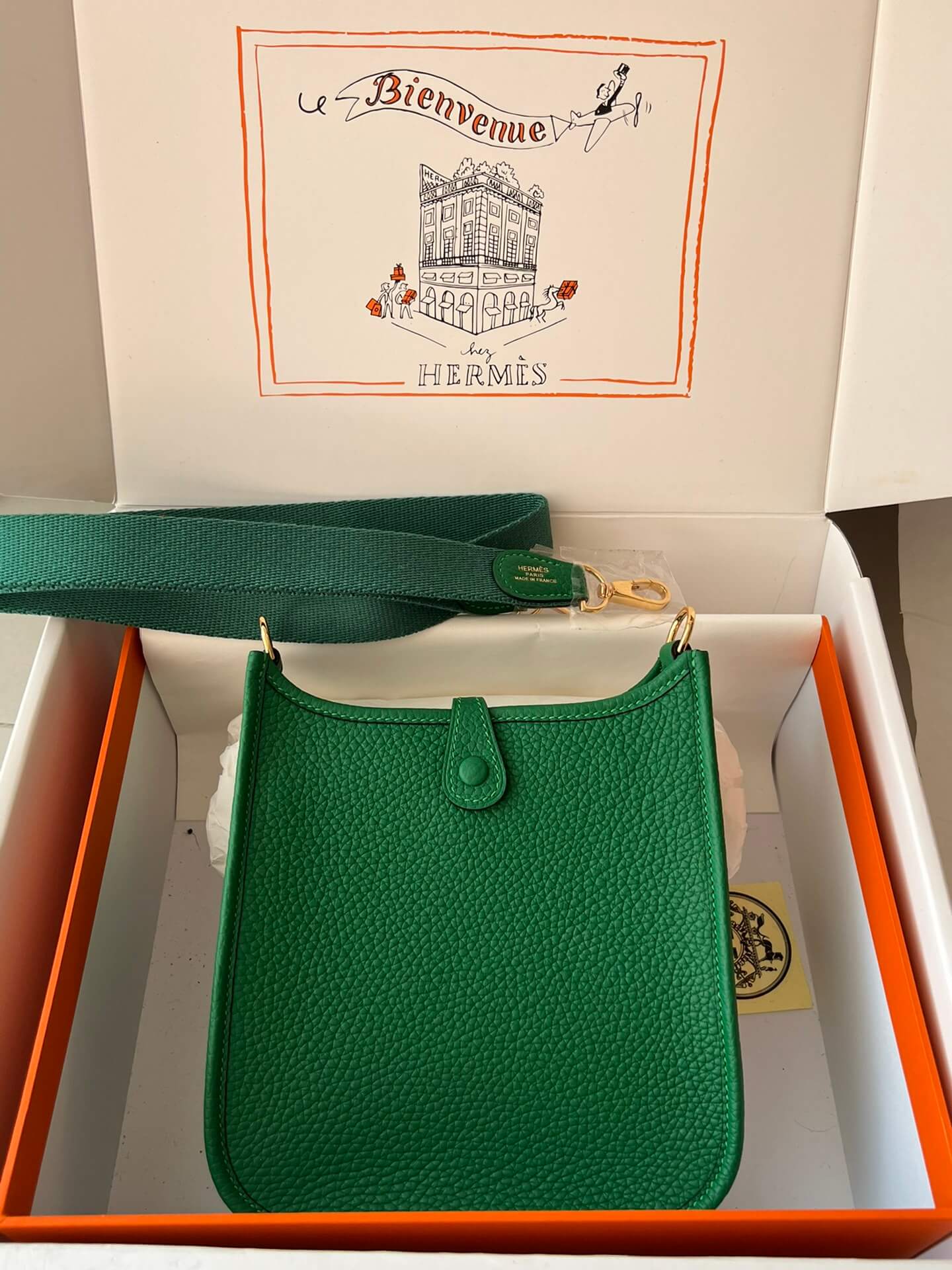 Evelyne17cm, bamboo green