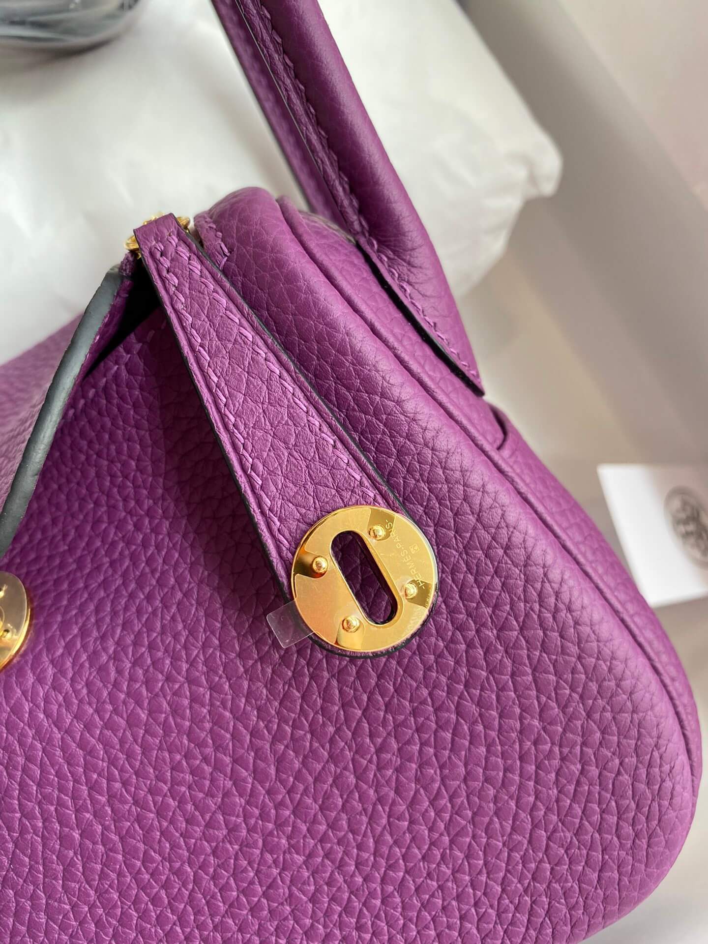 LD19cm, sea anemone purple