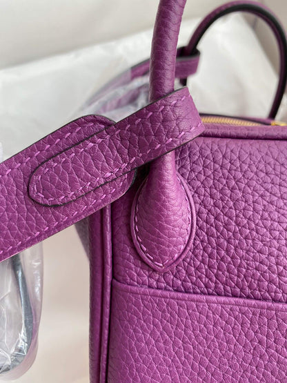LD19cm, sea anemone purple