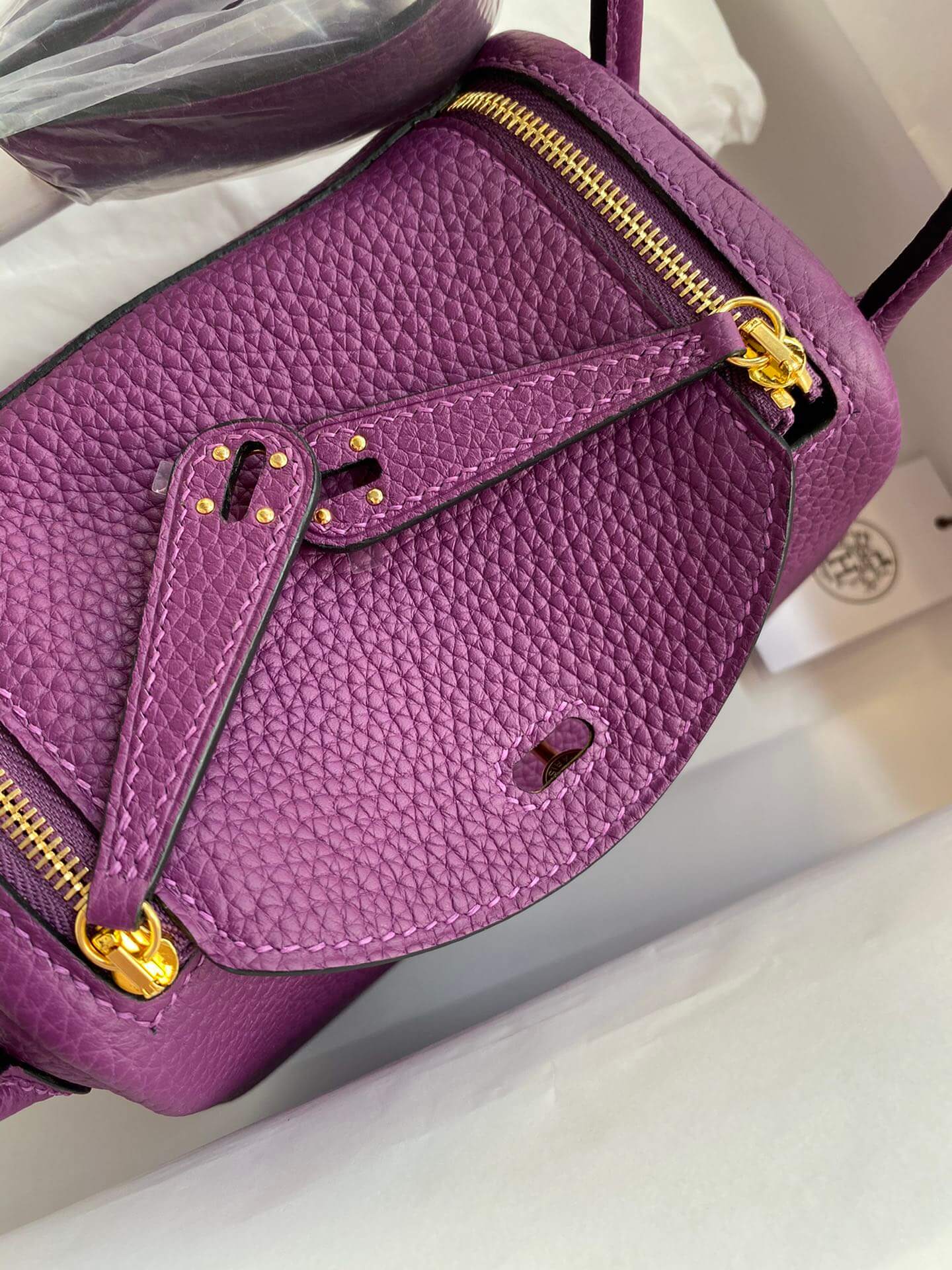 LD19cm, sea anemone purple
