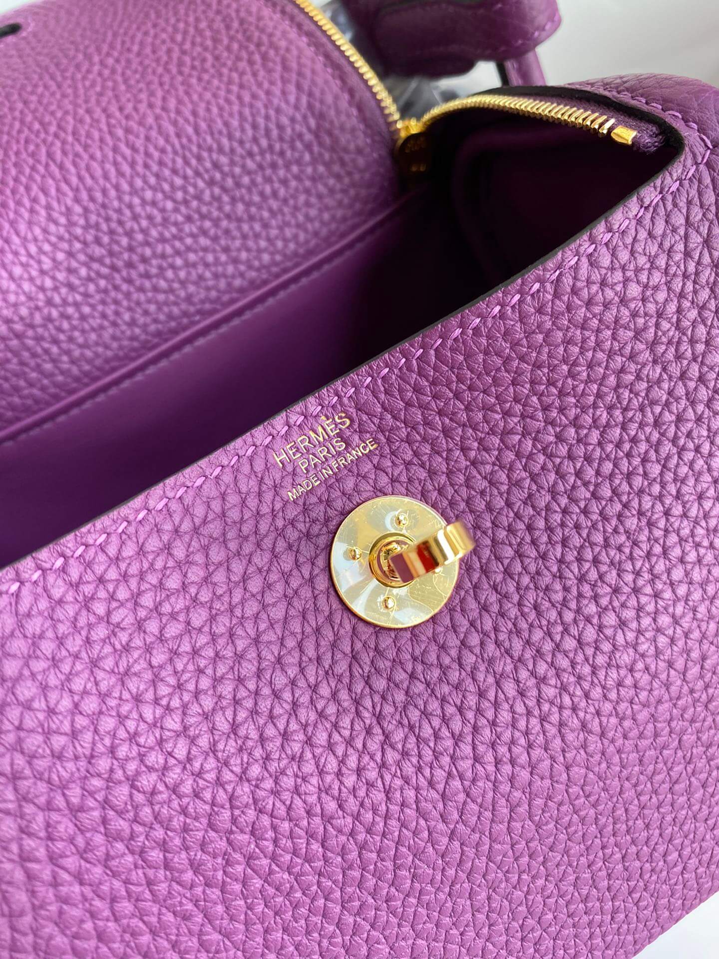 LD19cm, sea anemone purple