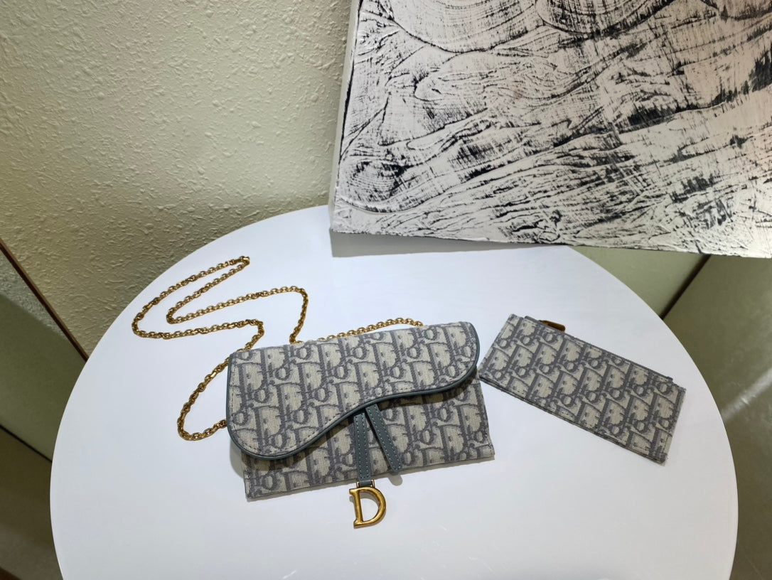 Dior saddle woc