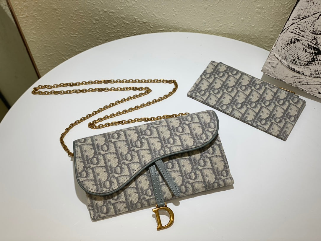 Dior saddle woc