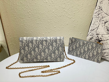Dior saddle woc