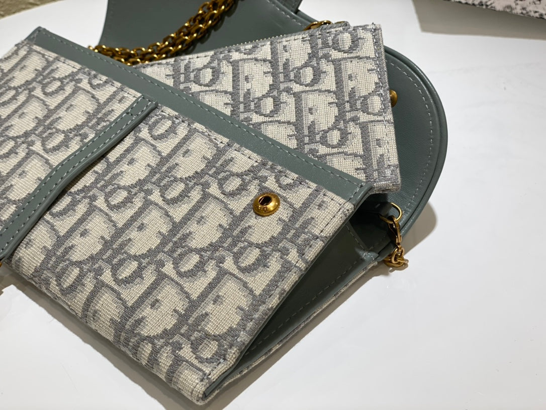 Dior saddle woc