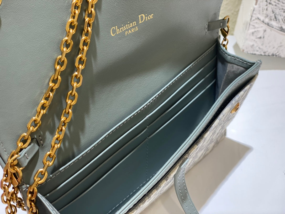 Dior saddle woc